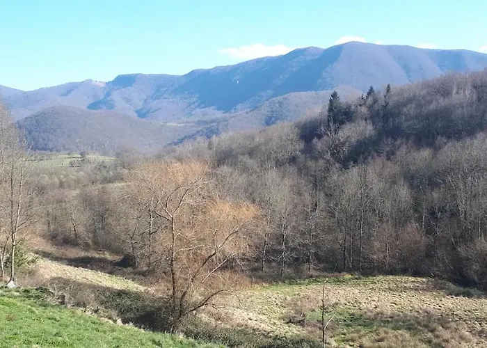 Casa de Férias Chez Sagaret *